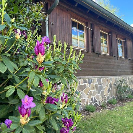 Blockhuette Engeln-Eifel Villa Kempenich Exteriör bild