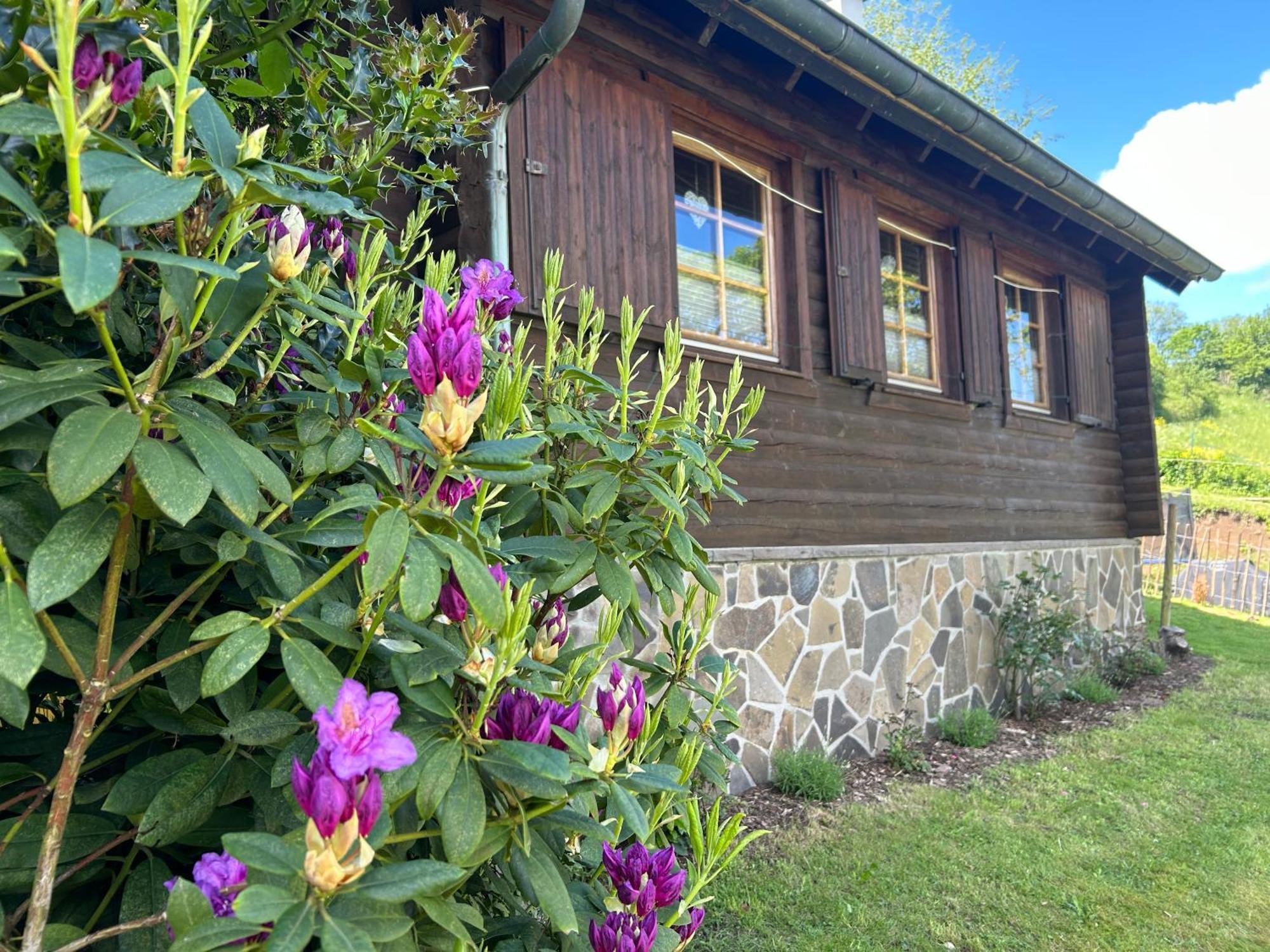 Blockhuette Engeln-Eifel Villa Kempenich Exteriör bild