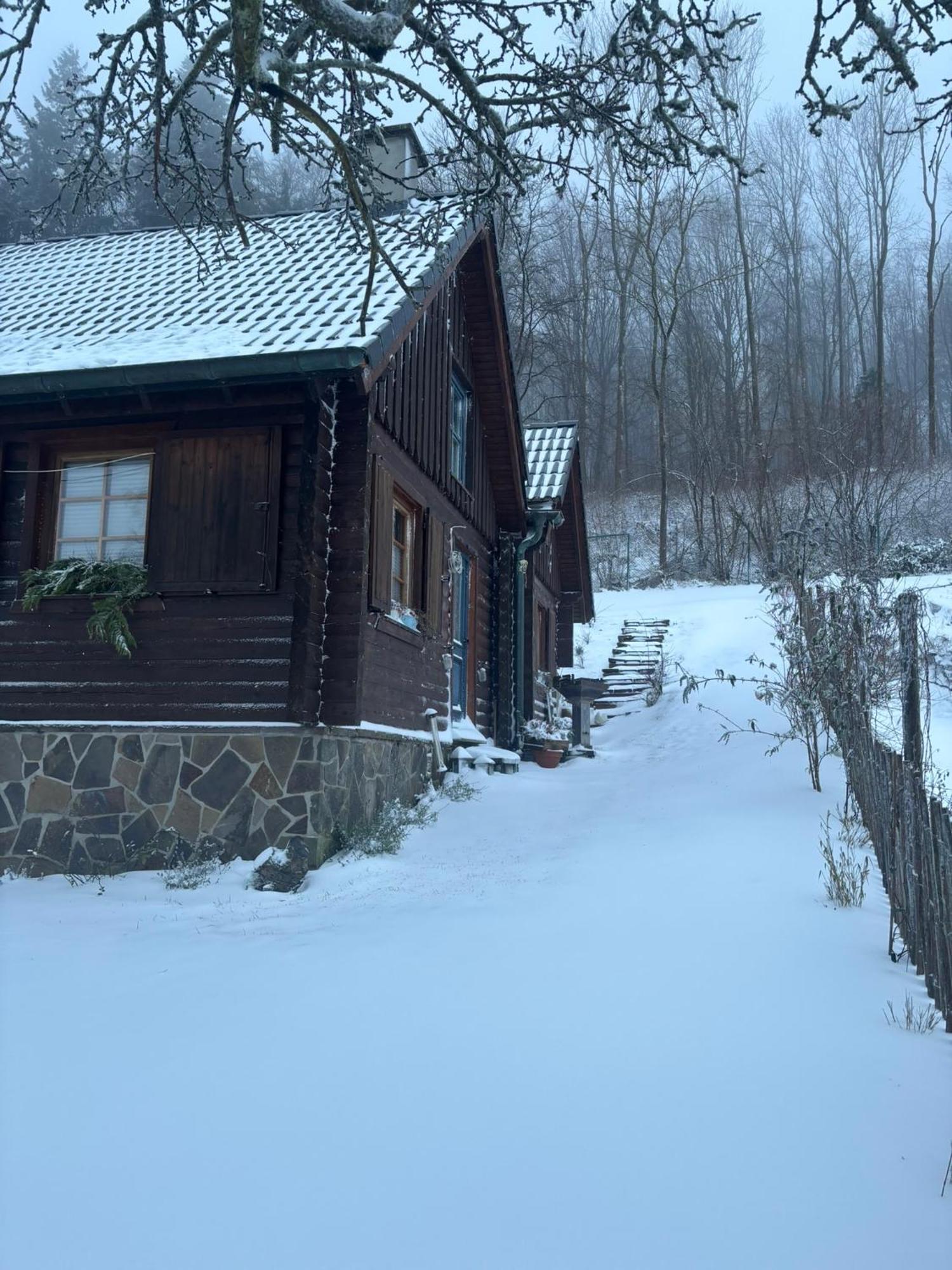 Blockhuette Engeln-Eifel Villa Kempenich Exteriör bild