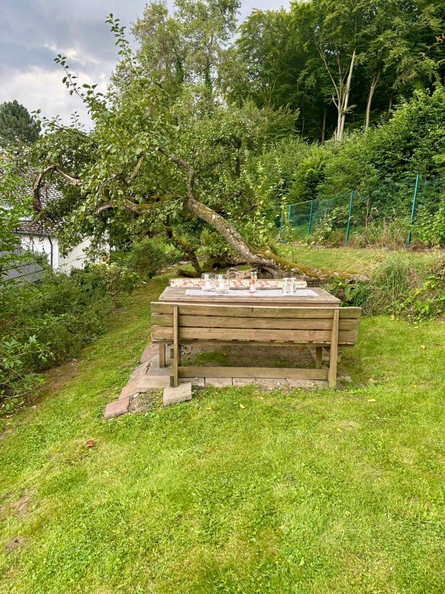 Blockhuette Engeln-Eifel Villa Kempenich Exteriör bild